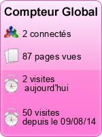 Compteur Global gratuit sans inscription